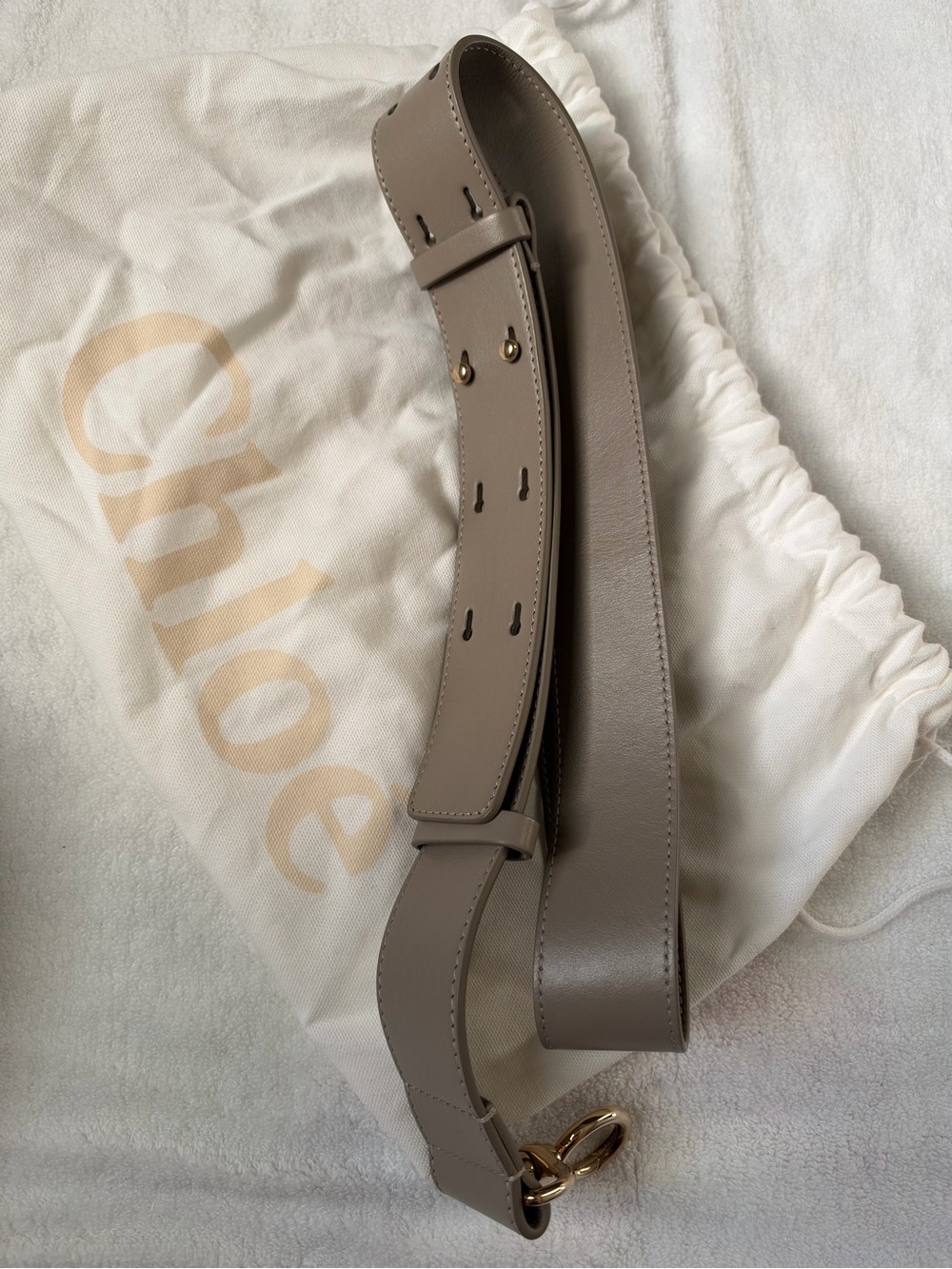Chloe Small Tess Leather Saddle Bag in Taupe. Dust bag. authentications included - Picture 11 of 15